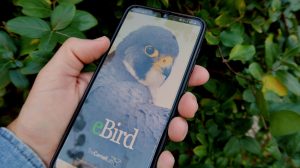 citizen science