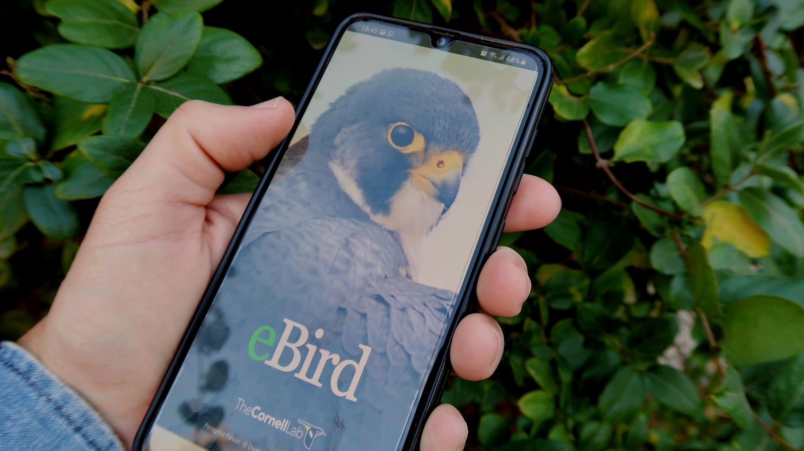 citizen science