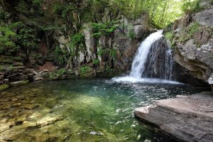 Pioggia